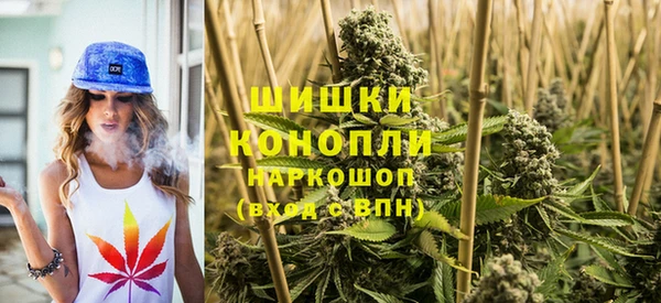 скорость Алзамай