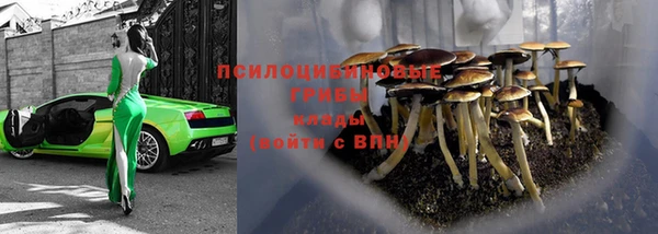скорость Алзамай