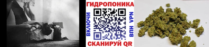 Канабис индика  где продают наркотики  OMG маркетплейс  Можга 